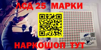 гидра Будённовск