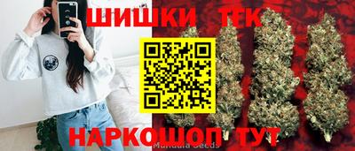 гидра Будённовск