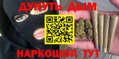 гидра Будённовск