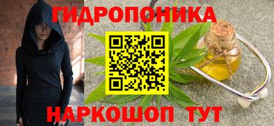 гидра Будённовск