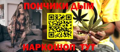 гидра Будённовск