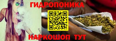 гидра Будённовск