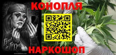 гидра Будённовск