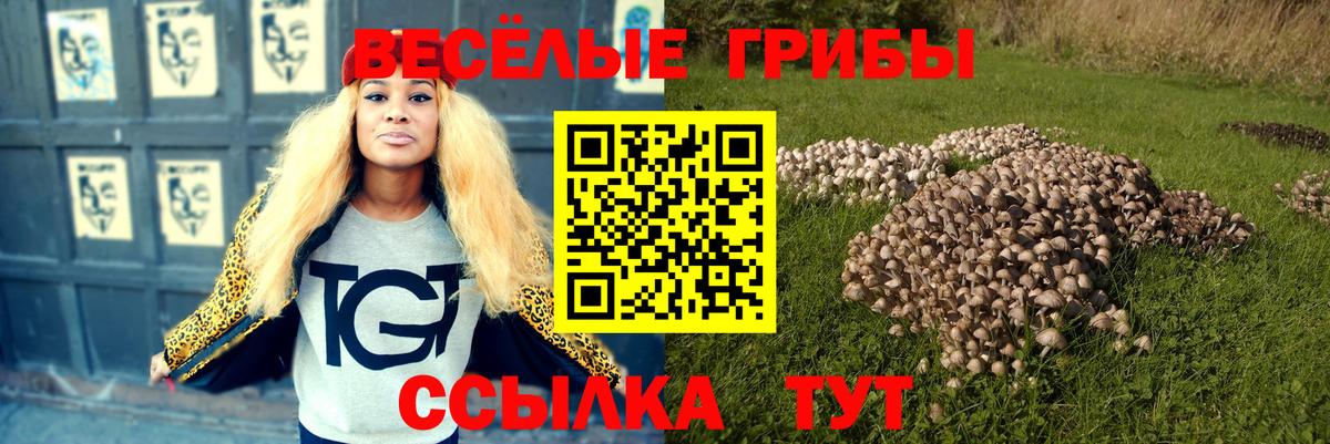 Новокузнецк  Галлюциногенные грибы Psilocybine cubensis  Вход с VPN 